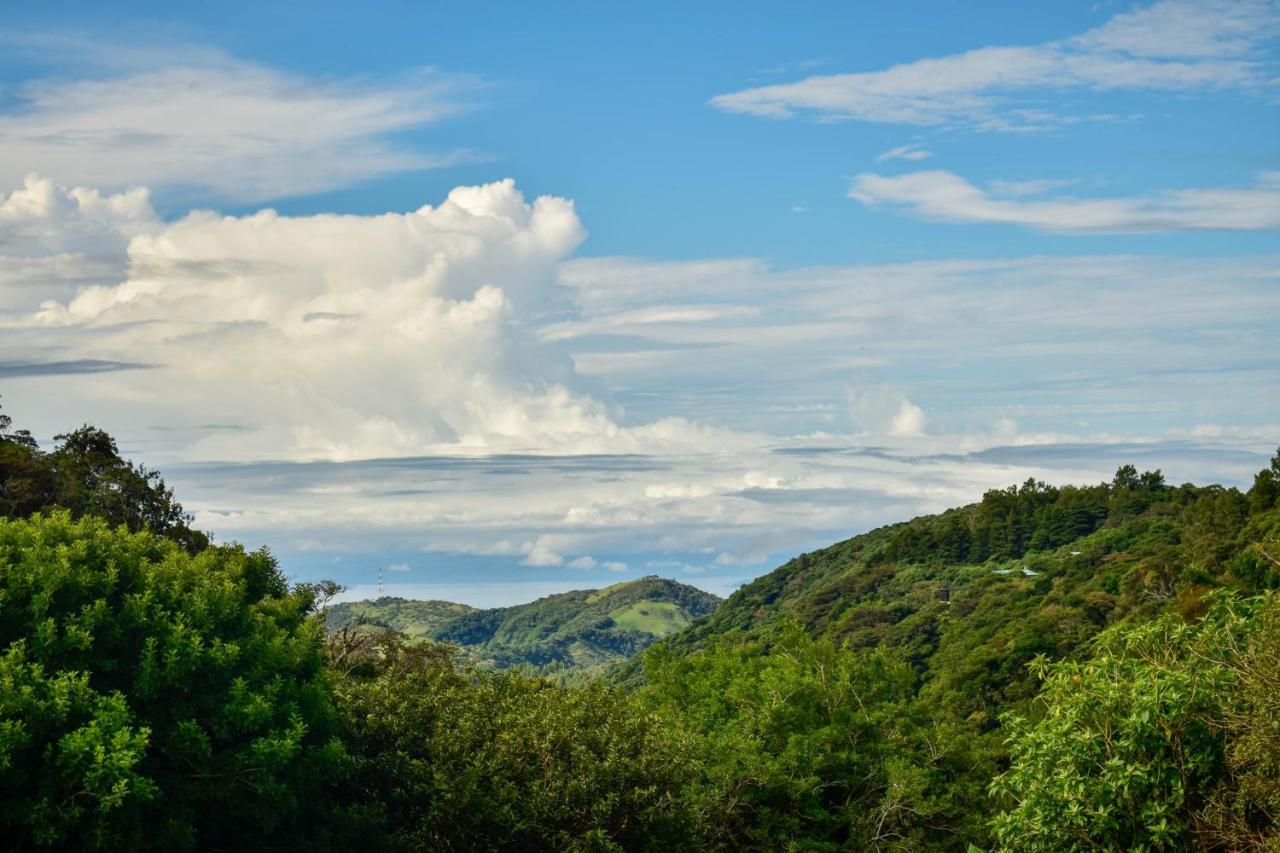 Cabinas Selva Verde Монте-Верде Экстерьер фото